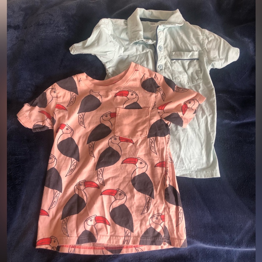 Boys Size 8 Tea Collection shirt bundle